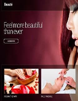 CS Beaute v1.4 - a template of the website Spa of salon for Wordpress