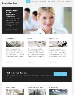 SP Executive Pro v3.1.2 - a template for Wordpress