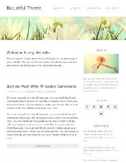 SP Beautiful Pro v1.1 - a template for Wordpress
