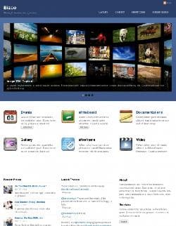  TFY Bizco v2.0.4 - template for Wordpress 