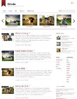 TFY Edmin v1.9.9 - шаблон для Wordpress