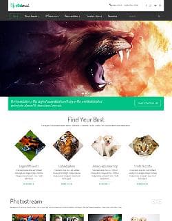 VT Animal v1.2 - a website template about animals for Joomla