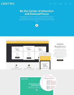  Centric Pro v1.1 - лендинг шаблон для wordpress 