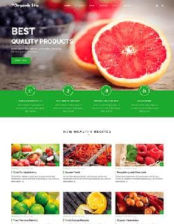  Shaper Organic Life v2.0 - website template about fruits for Joomla 