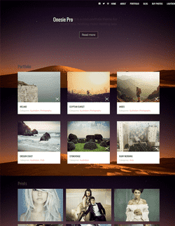  Onesie Pro v1.1.1 - template for Wordpress 