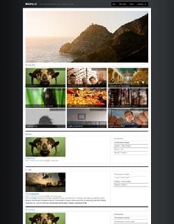 Modfolio v4.0.1 - a template for Wordpress