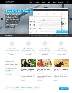 CharityPlus v1.6.7 - a template for Wordpress