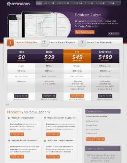  RT Omnicron v1.11 - template for Joomla with price list 