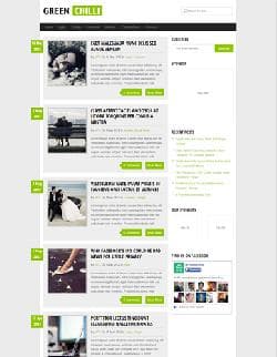  MTS GreenChilli v1.0 - template for Wordpress 