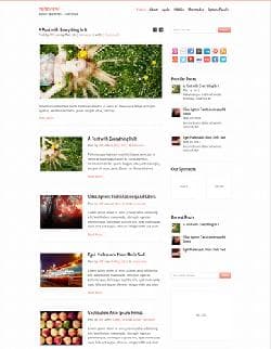  MTS Pureview v1.0 - template for Wordpress 