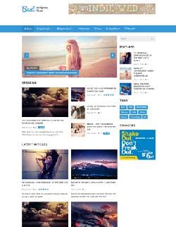 MTS Best v2.0.5 - a template for Wordpress