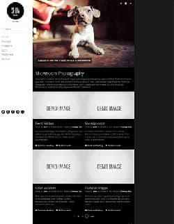  WP Showroom v1.0.10 WARP 6.4.8 - premium template for Wordpress 