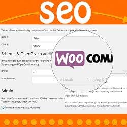 SEO WooCommerce plug-in from Yoast v5.8 - The CEO a plug-in for WooCommerce