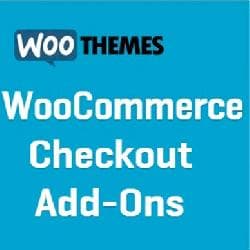 WooCommerce Checkout Add-Ons v1.10.3 - management of additional services for WooCommerce