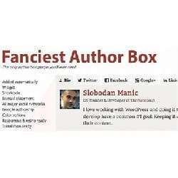  Fanciest Author Box  v2.2 - публикация подробной информации об авторе для Wordpress 