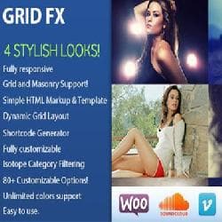  Grid FX Plugin Responsive Grid for WordPress v2.6 - gallery with advanced features for Wordpress 