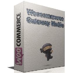  WooCommerce Mollie Gateway v2.10.0 - Mollie payment gateway for WooCommerce 