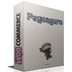 WooCommerce PagSeguro Gateway v1.3.1 - a payment gateway of PagSeguro