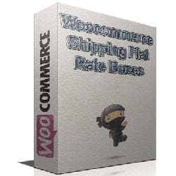 WooCommerce Shipping Flat Rate Boxes v2.0.0 - the organization of cost of delivery