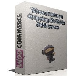 Woocommerce Shipping Multiple Addresses v3.3.17 - отправка по нескольким адресатам