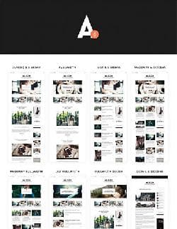  Alison Anne v1.2.0 - template for Wordpress from Themeforest No. 12017676 
