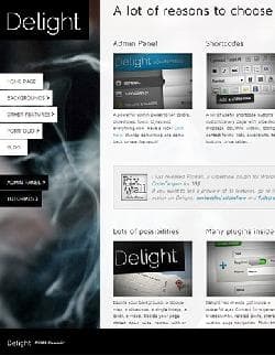  Delight v5.2.2 - worpdress template from themeforest No. 255488 