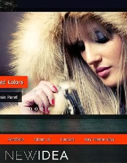  New Idea v4.3.3 - worpdress template from Themeforest No. 3578858 
