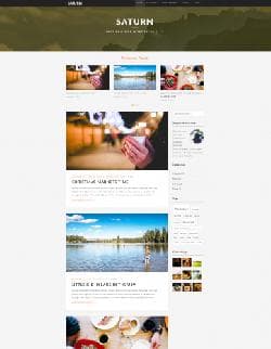 Saturn v1.0.4.1 - worpdress a template from Themeforest No. 9814741