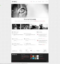  Spacing v1.3 - worpdress template from Themeforest No. 2594249 