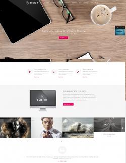  Elision v4.0.8 - Wordpress template from Themeforest No. 6382990 