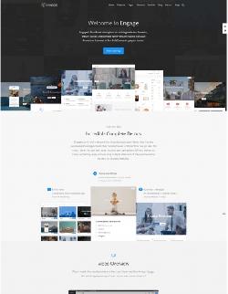  Engage v2.9.4 - worpdress template from themeforest No. 19199913 