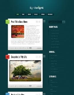  ET LightBright v4.5 - шаблон для Wordpress 