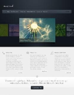 ET Envisioned v3.3 - a template for Wordpress