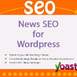  WP SEO News v12.2 - SEO for a news site on Wordpress 
