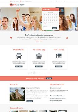  Hot WP Academy v1.0 - template for educational website 