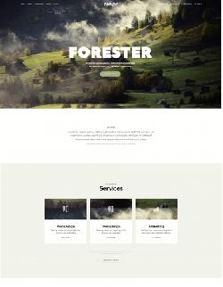  Forester v1.3.0 - template for Wordpress from Themeforest No. 20410914 