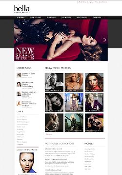  Hot Model Agency WP v1.0 - a WordPress template for model Agency 