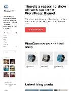 WOO Show Off v1.2.5 - шаблон для Wordpress