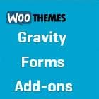  Woocommerce Gravity Forms Add-ons v3.3.0 - create forms for Woocommerce 