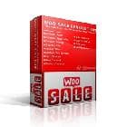 Woo Sale Revolution:Flash Sale+Dynamic Discounts v2.7 - the organization of sales the website WooCommerce
