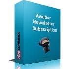  Woocommerce Aweber Newsletter Subscription v1.0.10 - conclusion the subscription form on Woocommerce 