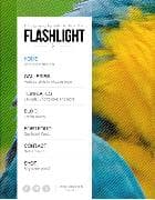 Flashlight v4.3 - worpdress шаблон от themeforest №616050