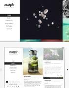 Example v1.2 - worpdress a template from themeforest No. 4599565