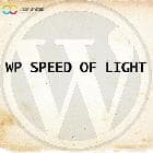  WP Speed of Light v2.4.4 - оптимизатор для Wordpress 