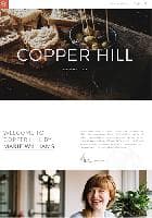 YOO Copper Hill v1.10.8 - a premium a template for the website of restaurant
