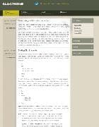  WOO BlogTheme v - free template for Wordpress 