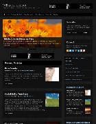  WP-Mysterious v1.0.4 - template for Wordpress 