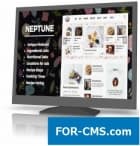 Neptune - a template of recipes of bloggers and chiefs