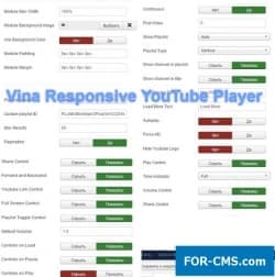 Vina Youtube Video Player & Chanel + roundabout
